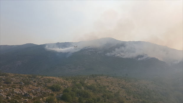 ВАТРЕНА СТИХИЈА У ЦРНОЈ ГОРИ: Сумње да је пожар подметнут, ухапшен Албанац, стижу хрватски канадери